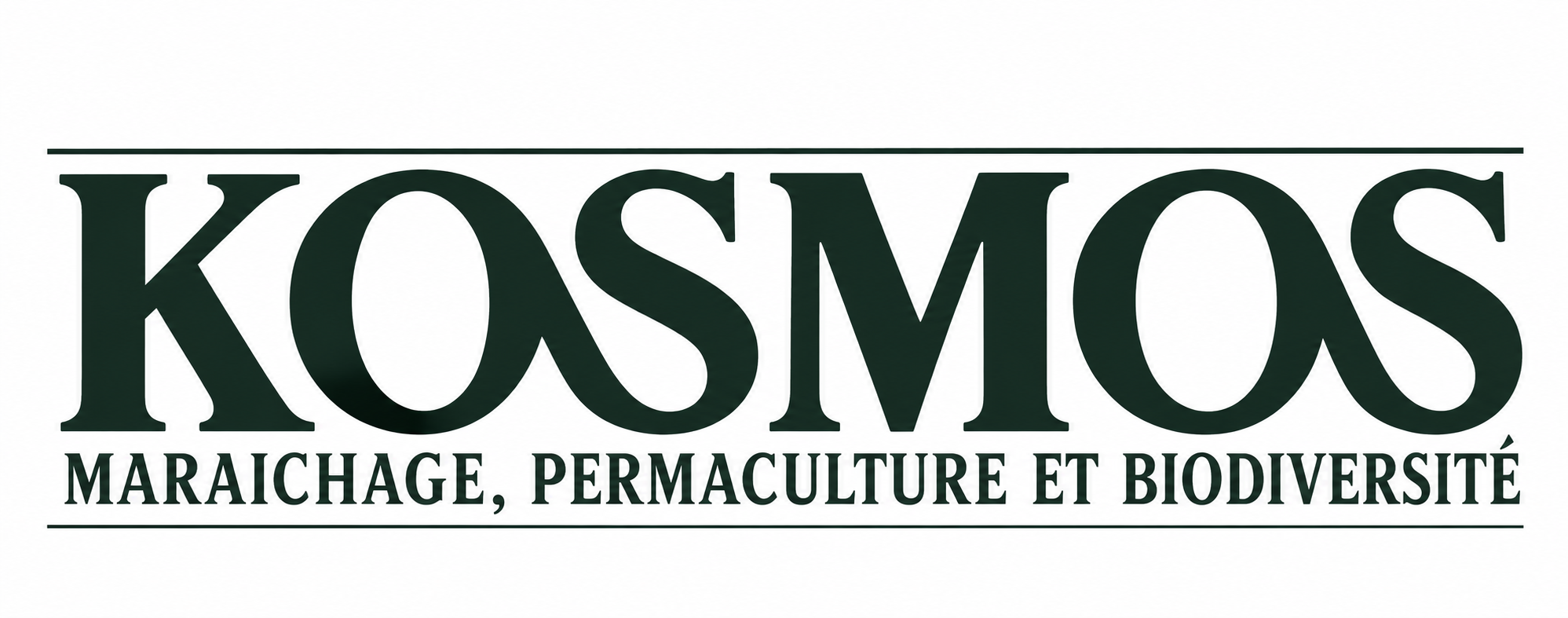 Kosmos